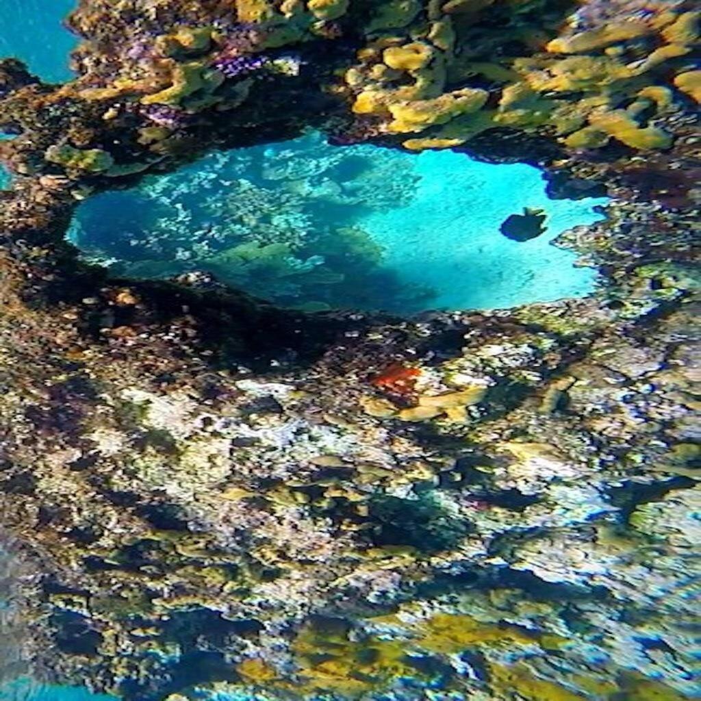Condumel Lägenhet Cozumel Exteriör bild