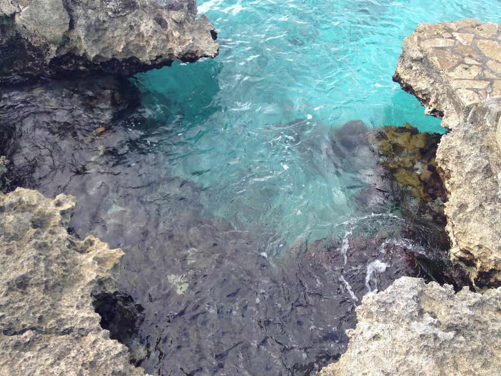 Condumel Lägenhet Cozumel Rum bild